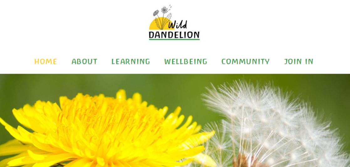 Wild Dandelion Homepage image and link